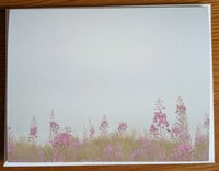 Notecards