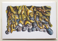 Rockweed and Periwinkles