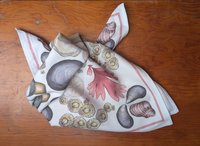 Bandanas 