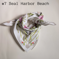 Bandanas 