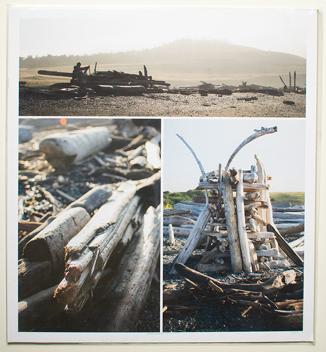 Drift Wood at Cattle Point