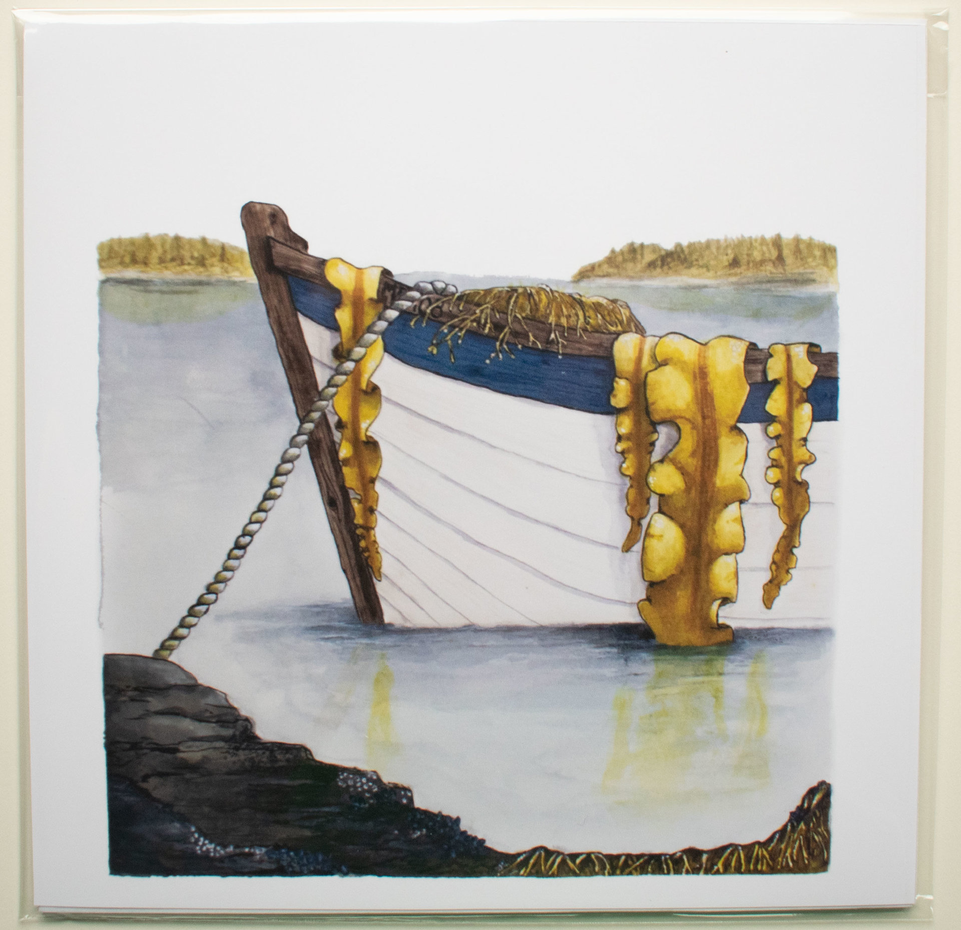 Foraging Wild Seaweed
