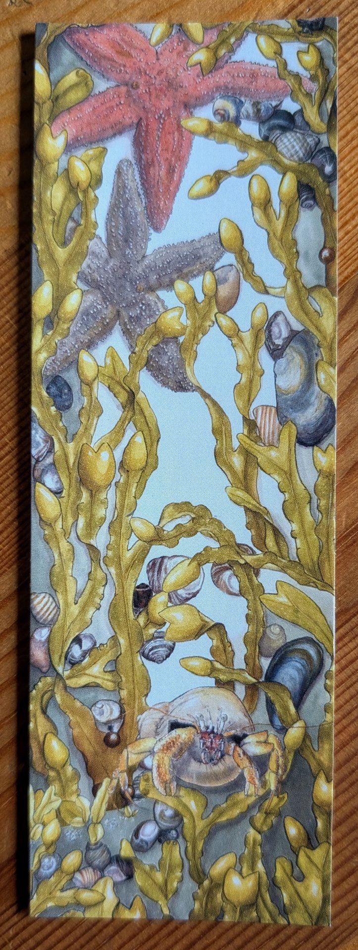 Bookmarks