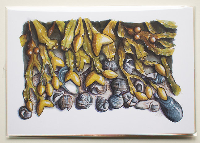 Rockweed and Periwinkles
