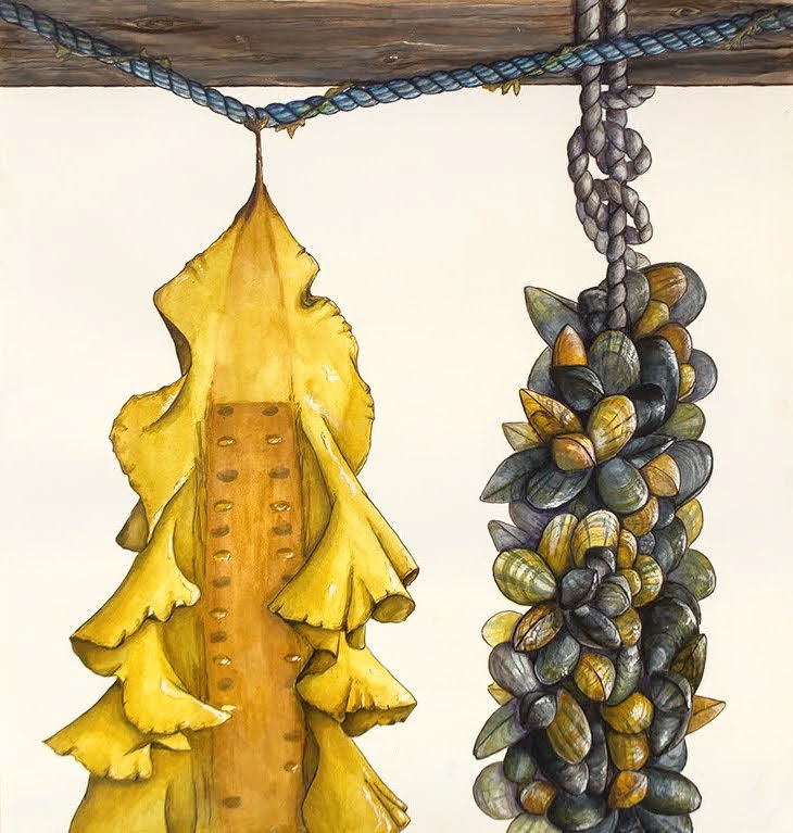 Sugar Kelp and Blue Mussels