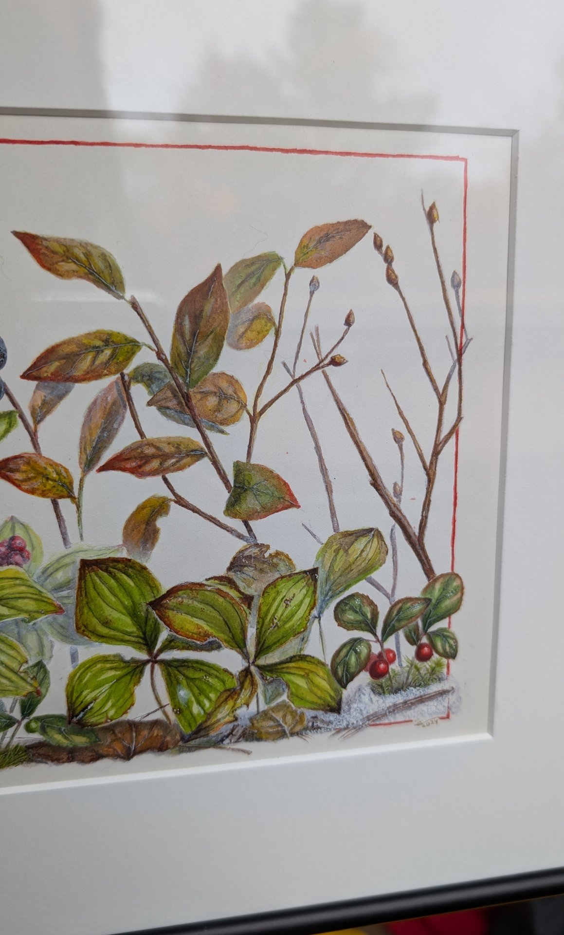Seasons on the Forest Floor 