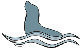 Selkie Sauna 02.01.26