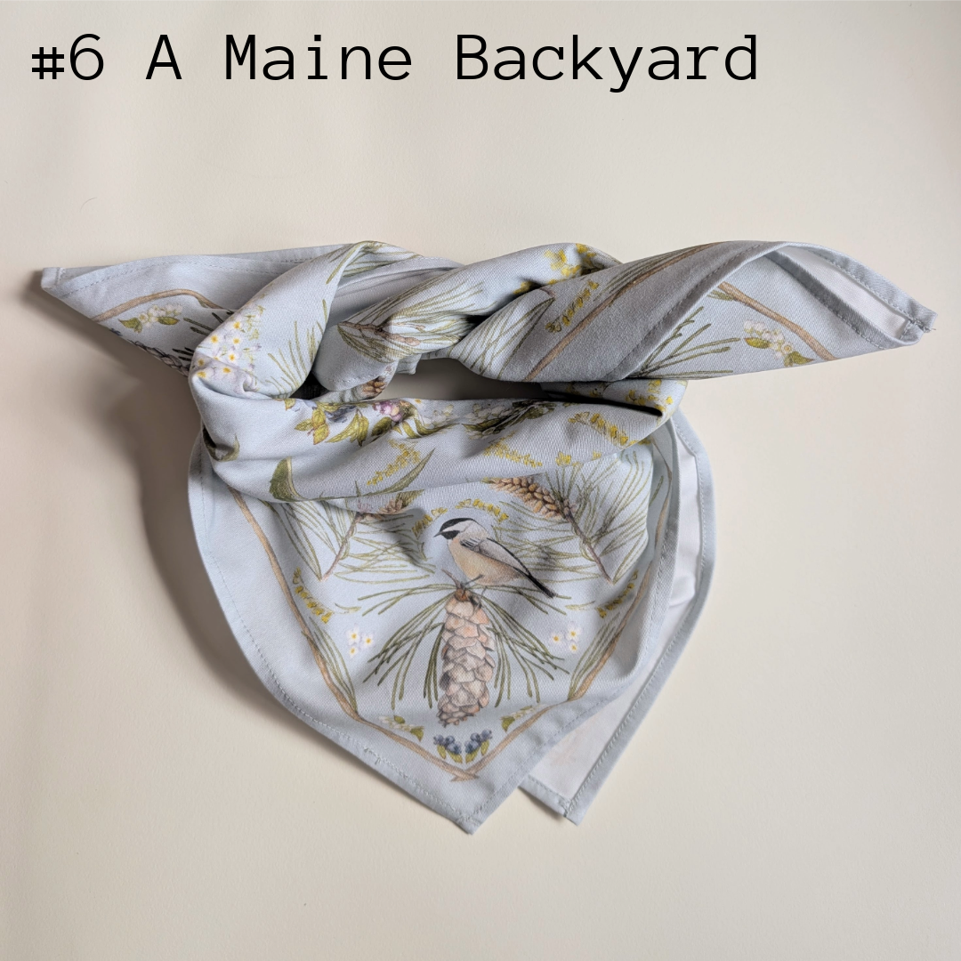 Bandanas 