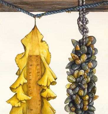 Sugar Kelp and Blue Mussels